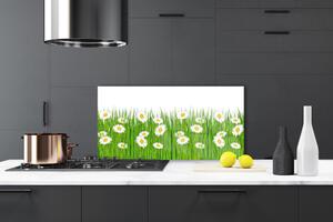 Kuchyňský skleněný panel Tráva Sedmikrásky Příroda 120x60 cm