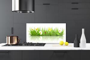 Kuchyňský skleněný panel Tráva Příroda Rostlina 125x50 cm