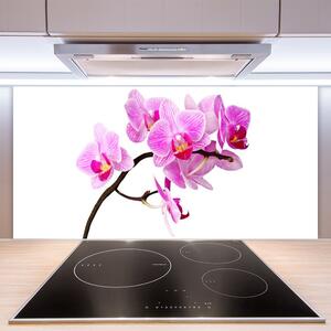 Kuchyňský skleněný panel Květiny Rostlina Příroda 140x70 cm