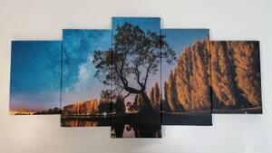 5-dílný obraz strom pod hvězdnou oblohou - 100x50 cm