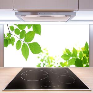 Skleněné obklady do kuchyně Plátky Rostlina Příroda 125x50 cm