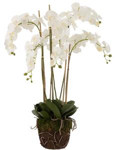 OnaDnes -20% Umělá květina J-Line Maryath Orchid 104 cm