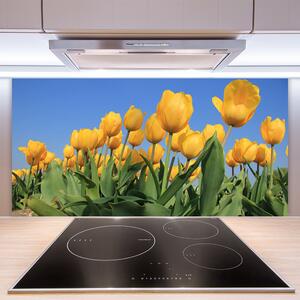 Skleněné obklady do kuchyně Tulipány Květiny Rostlina 140x70 cm