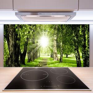 Skleněné obklady do kuchyně Les Slunce Stezka Příroda 120x60 cm