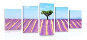 5-dílný obraz provensálské levandulové pole - 100x50 cm