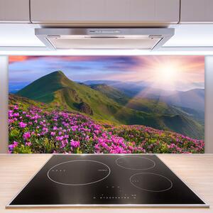 Skleněné obklady do kuchyně Hory Louka Květiny Krajina 125x50 cm