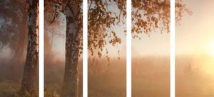 5-dílný obraz mlhavý podzimní les - 100x50 cm