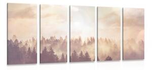 5-dílný obraz mlhavý les - 100x50 cm