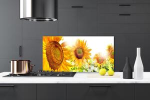 Skleněné obklady do kuchyně Slunečnice Květ Rostlina 140x70 cm