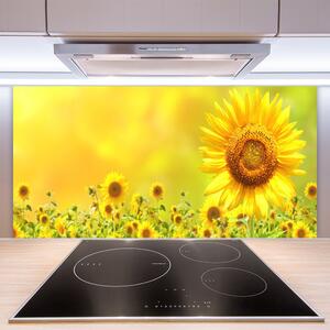 Skleněné obklady do kuchyně Slunečnice Květ Rostlina 125x50 cm