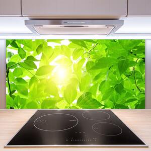 Skleněné obklady do kuchyně Listy Příroda Slunce Rostlina 125x50 cm