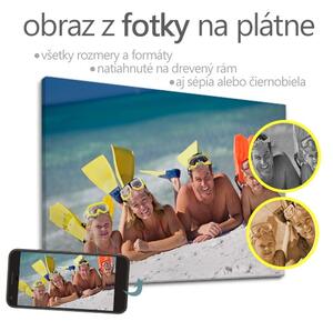 Obraz z fotografie - OBDÉLNÍK - různé rozměry 000 fotoo