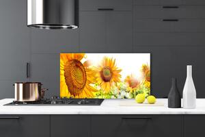 Skleněné obklady do kuchyně Slunečnice Květ Rostlina 125x50 cm