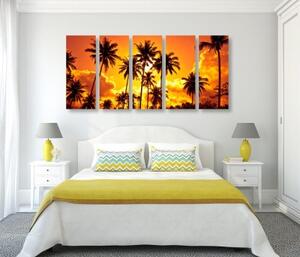 5-dílný obraz kokosové palmy na pláži - 100x50 cm