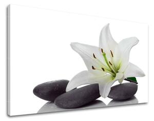 Obraz na stěnu FENG SHUI FS029E11