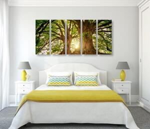 5-dílný obraz majestátní stromy - 100x50 cm