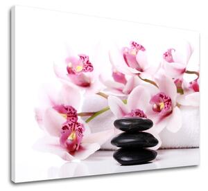 Obraz na plátně FENG SHUI_047 - 11