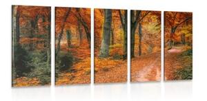 5-dílný obraz les v podzimním období - 100x50 cm