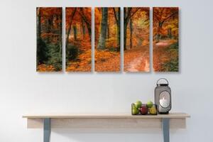 5-dílný obraz les v podzimním období - 100x50 cm