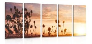 5-dílný obraz stébla trávy při východu slunce - 100x50 cm