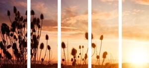 5-dílný obraz stébla trávy při východu slunce - 100x50 cm