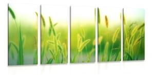 5-dílný obraz stébla trávy v zeleném provedení - 100x50 cm