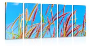 5-dílný obraz divoká tráva pod modrou oblohou - 100x50 cm