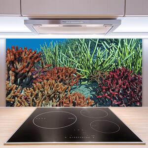 Skleněné obklady do kuchyně Korálový Útes Příroda 125x50 cm