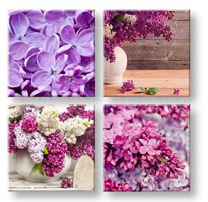 Obraz na stěnu Lilacs 4 dílný XOBKOL05E42