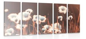 5-dílný obraz bavlněná tráva - 100x50 cm