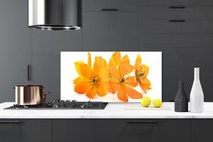 Kuchyňský skleněný panel Oranžové Květiny 100x50 cm
