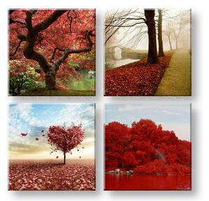 Obraz na stěnu Colorful world 4 dílný XOBKOL26E42