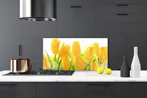 Skleněné obklady do kuchyně Tulipány Květiny Rostlina 120x60 cm
