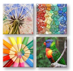 Obraz na stěnu Colorful vibes 4 dílný XOBKOL20E42