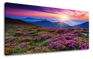 Obraz na stěnu PANORÁMA KRAJINA KR006E13