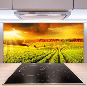 Kuchyňský skleněný panel Pole Západ Slunce Krajina 140x70 cm