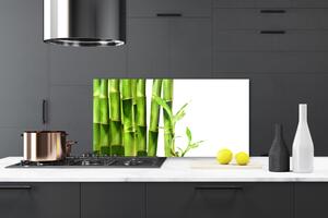Kuchyňský skleněný panel Bambus Rostlina 100x50 cm