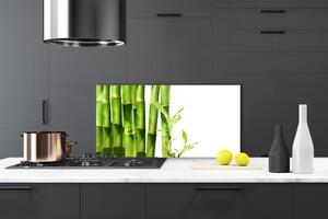 Kuchyňský skleněný panel Bambus Rostlina 140x70 cm