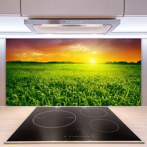 Kuchyňský skleněný panel Obilí Pole Východ Slunce 100x50 cm