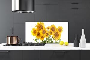 Kuchyňský skleněný panel Slunečnice 125x50 cm