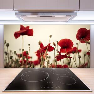 Kuchyňský skleněný panel Máky 120x60 cm