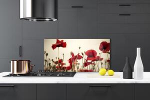 Kuchyňský skleněný panel Máky 120x60 cm