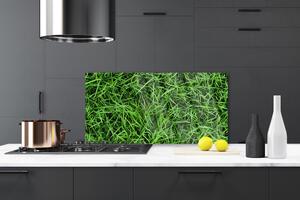 Kuchyňský skleněný panel Tráva Trávník 100x50 cm
