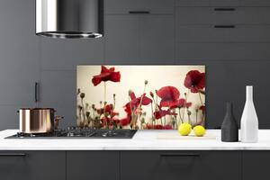 Kuchyňský skleněný panel Máky 100x50 cm