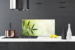 Kuchyňský skleněný panel Listy Déšť 100x50 cm