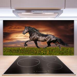 Kuchyňský skleněný panel Černý Kůň Louka Zvířata 100x50 cm