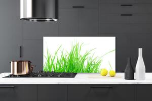 Kuchyňský skleněný panel Tráva 140x70 cm
