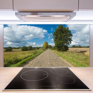 Kuchyňský skleněný panel Vesnice Cesta Dlažba Krajina 140x70 cm