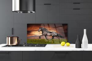 Kuchyňský skleněný panel Černý Kůň Louka Zvířata 120x60 cm