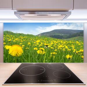 Kuchyňský skleněný panel Pampeliška Příroda 100x50 cm